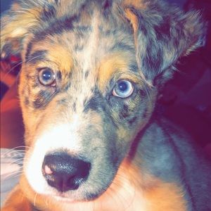 Meet your Posher, Cassie